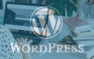 WordPress websites